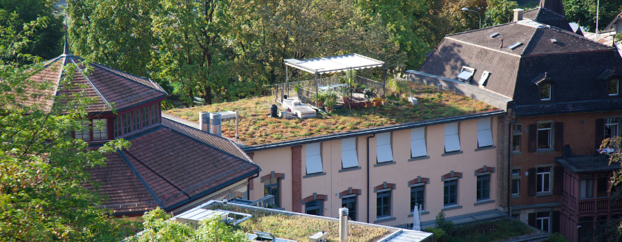 Dachbegrünung als natürliche Dämmung oder zusätzlicher Garten